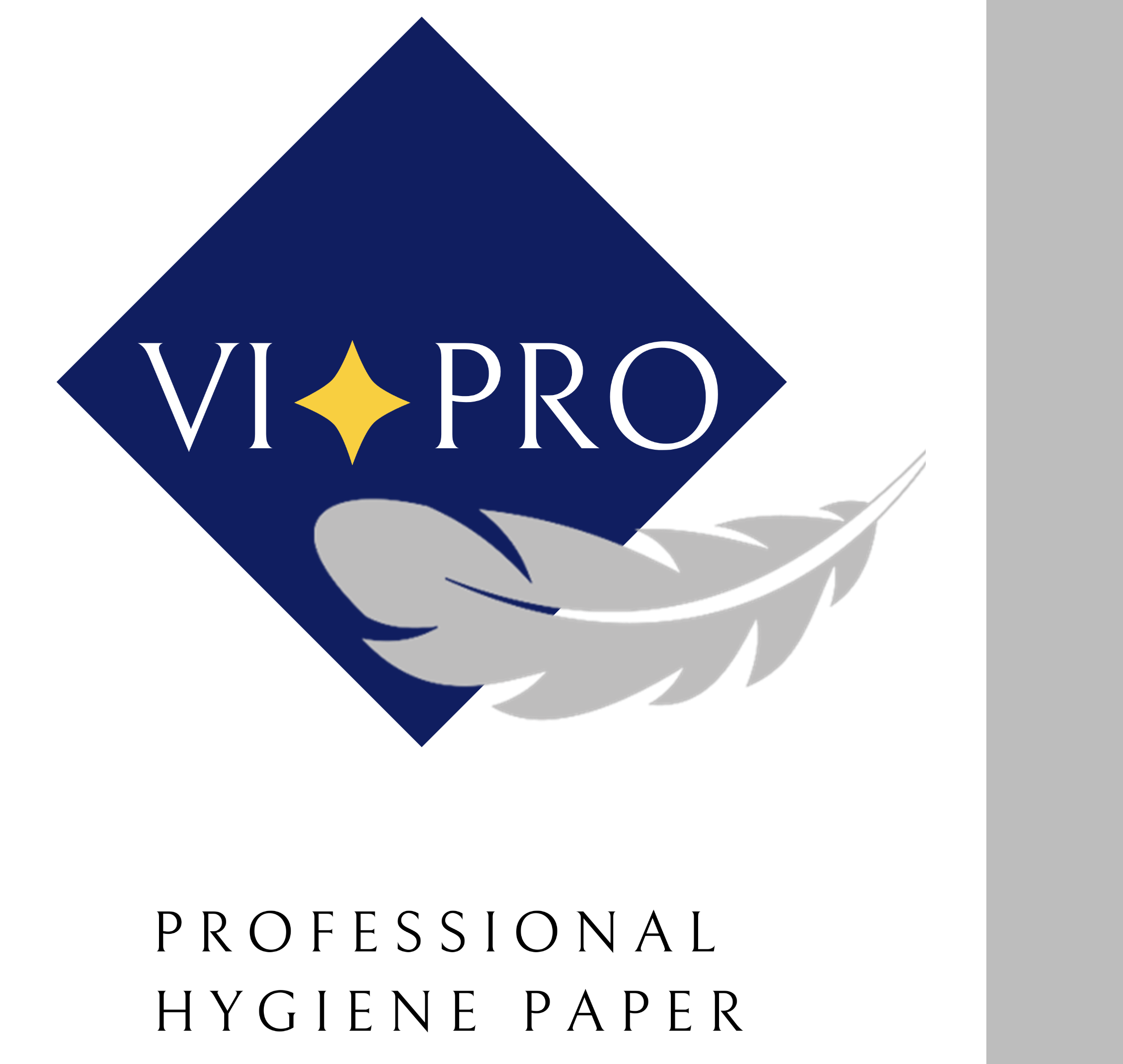 Vi Pro